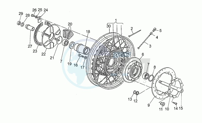 Rear wheel, spokes blueprint