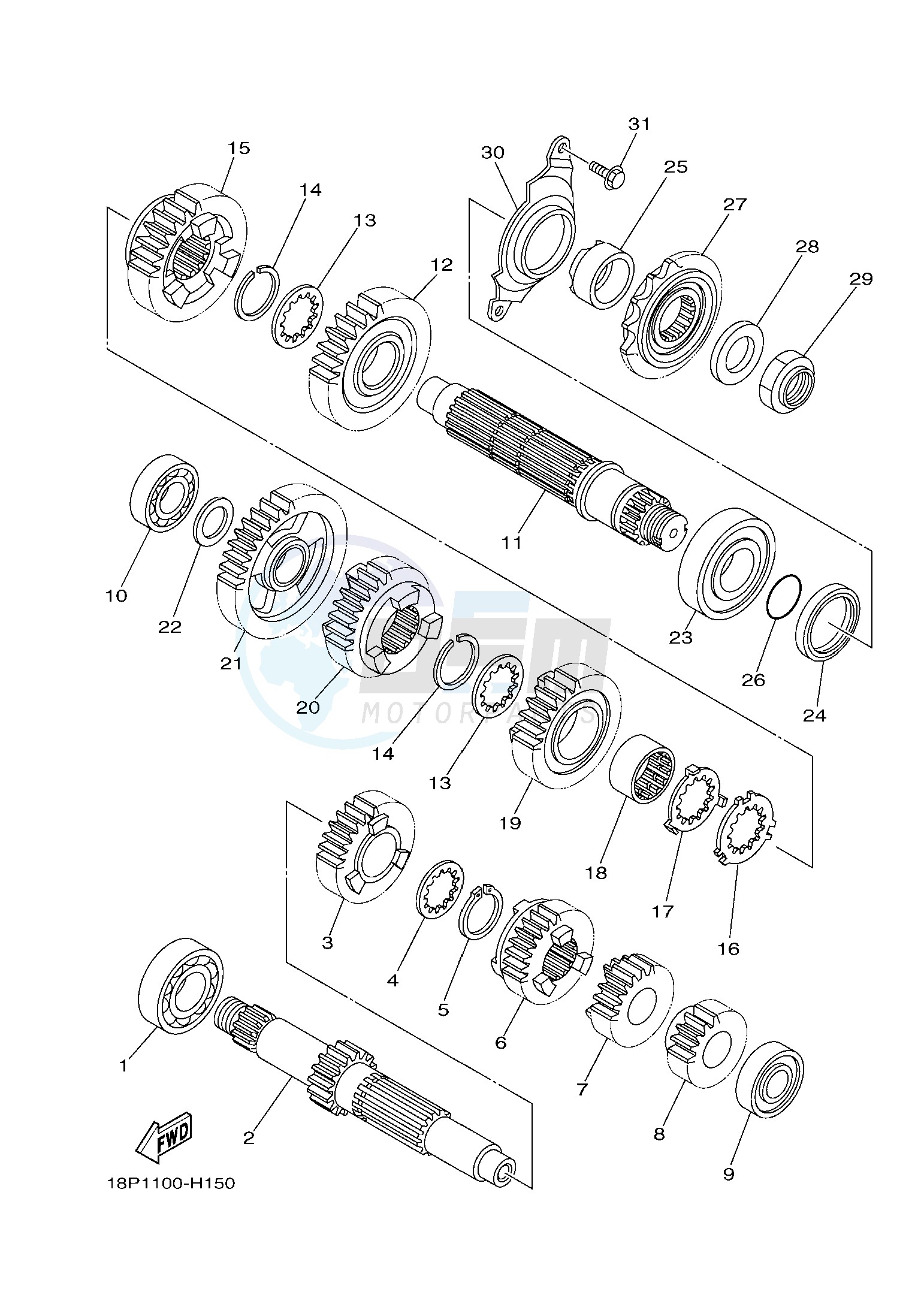 TRANSMISSION image