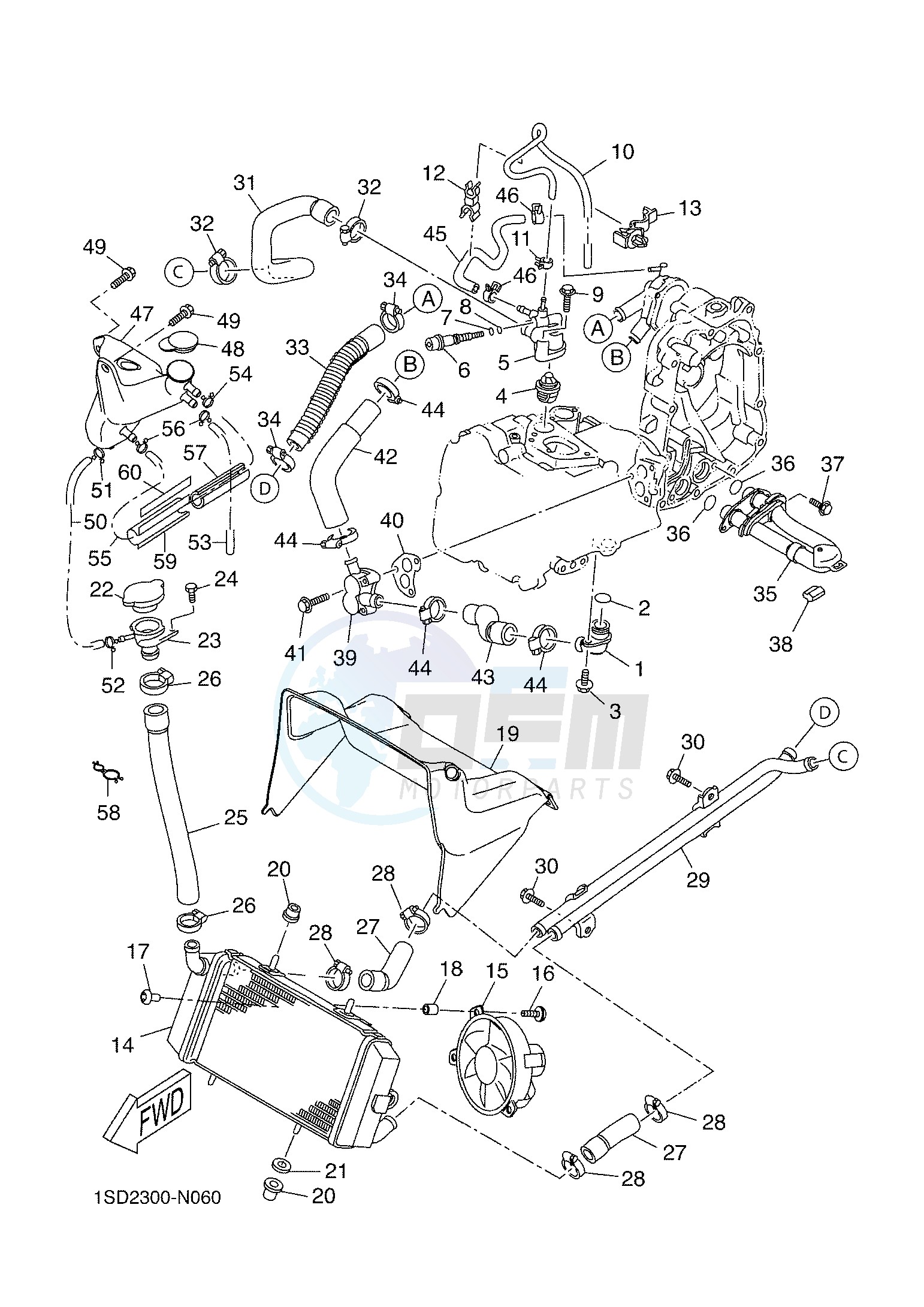 RADIATOR & HOSE image