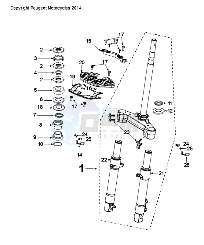 FORKS AND STEERING image