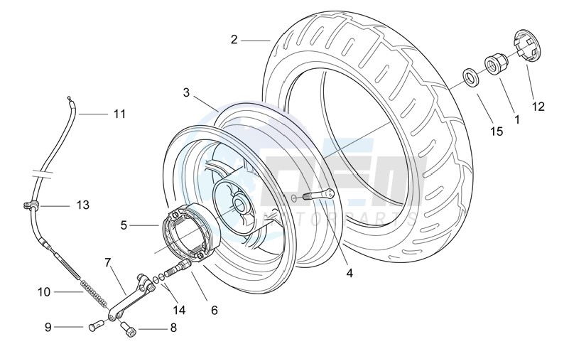 Rear wheel - drum brake blueprint