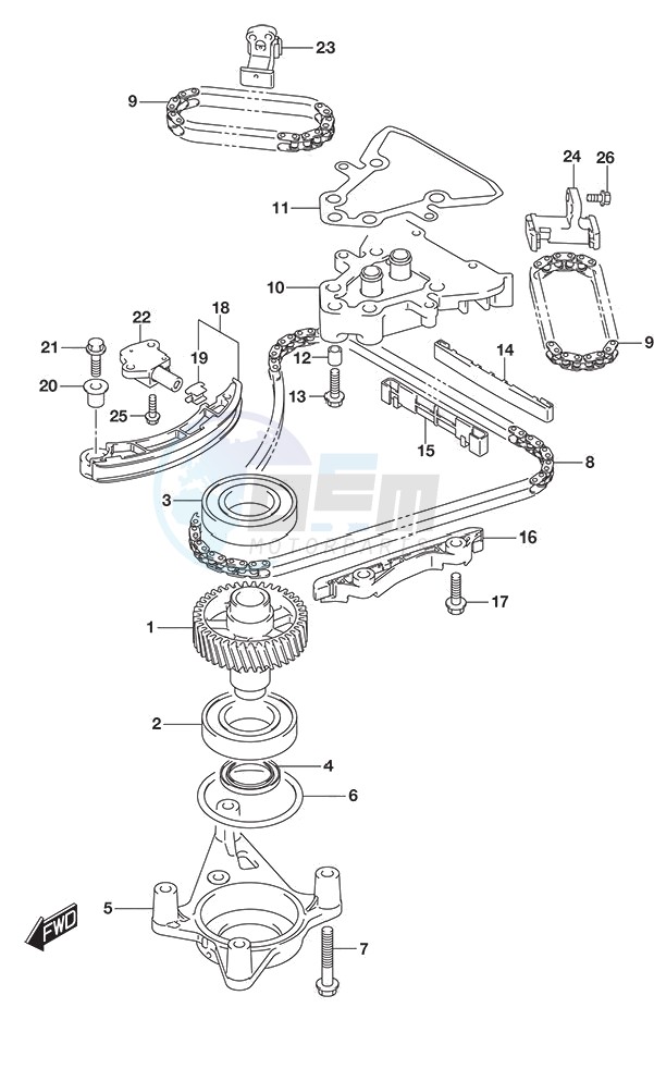 Timing Chain DF 250S blueprint