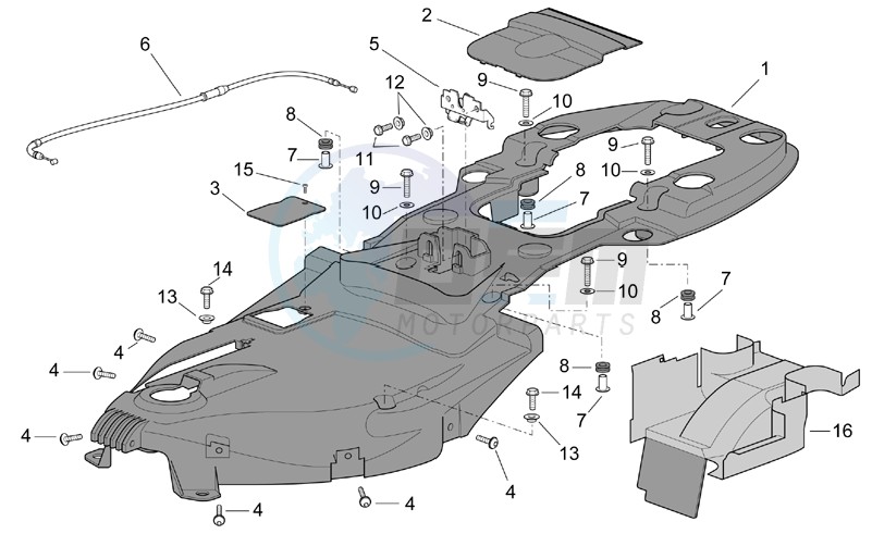 Undersaddle image