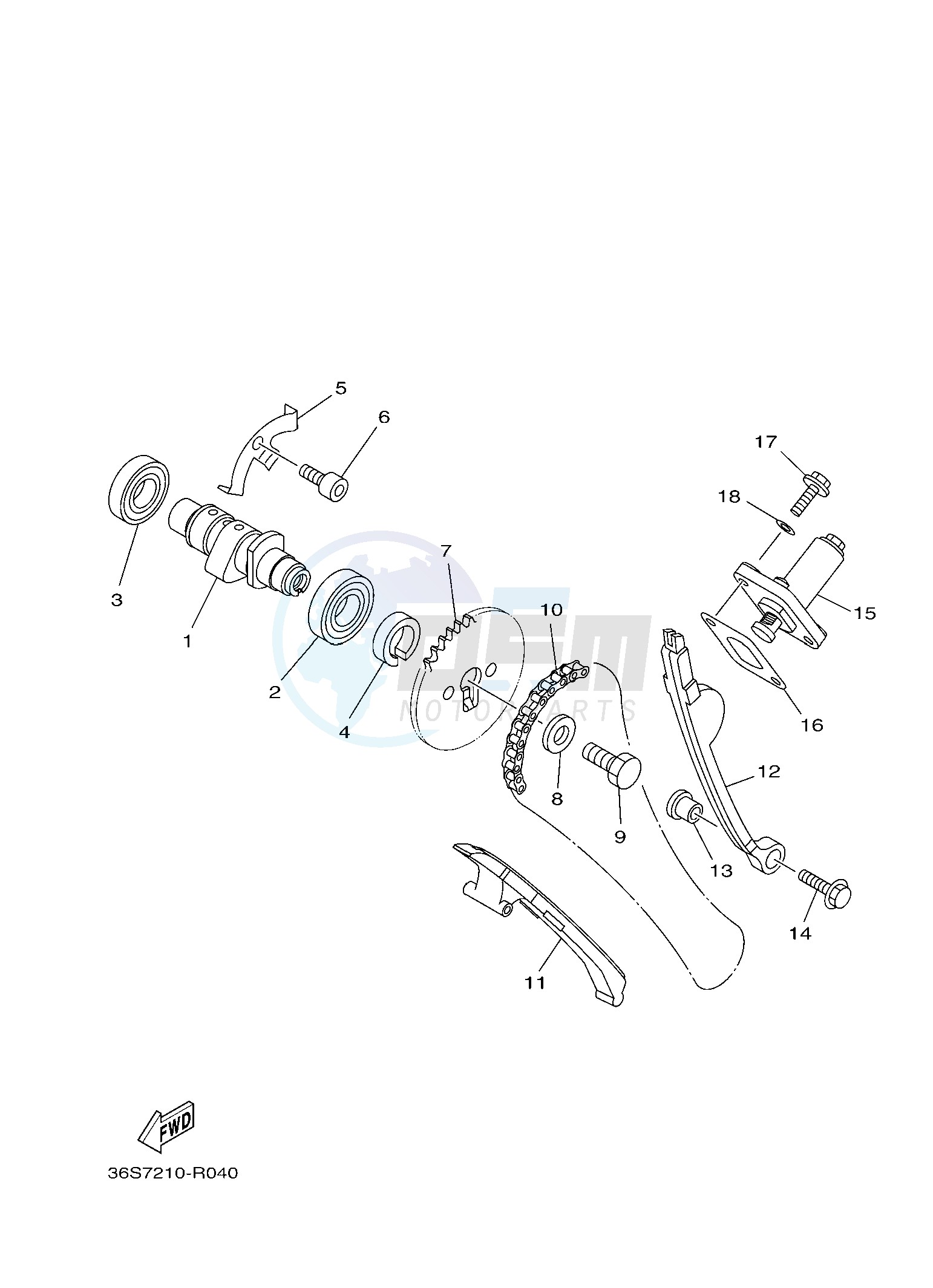 CAMSHAFT & CHAIN blueprint