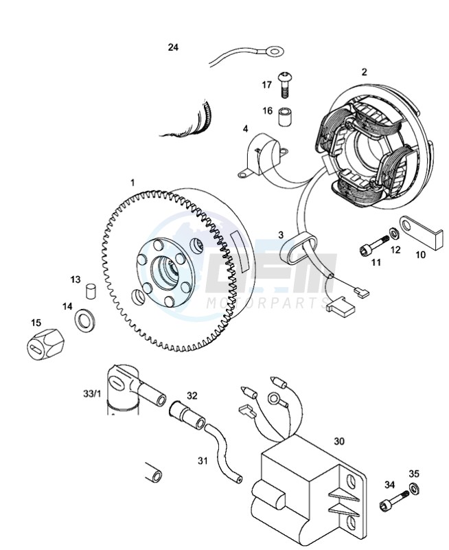 Magneto assembly-electric starter image