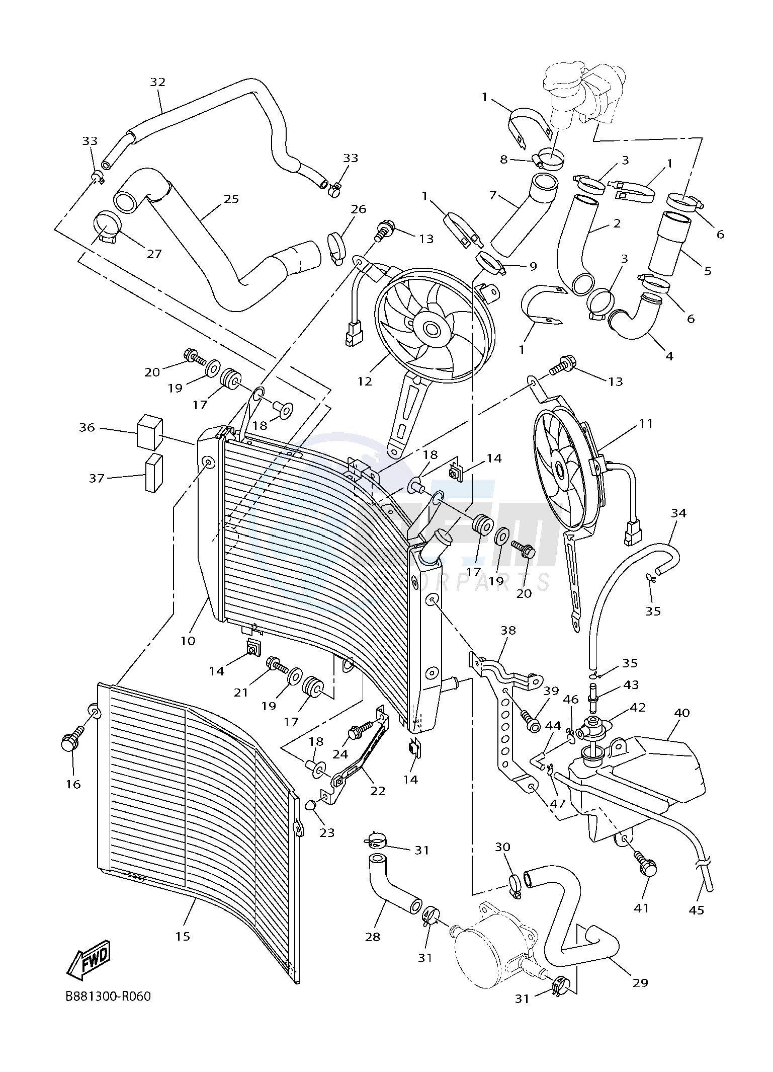 RADIATOR & HOSE image