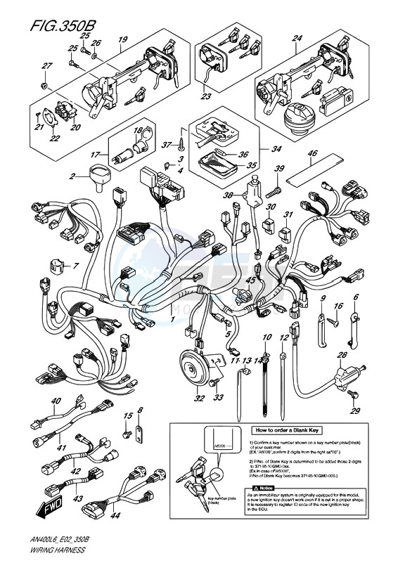 WIRING HARNESS image