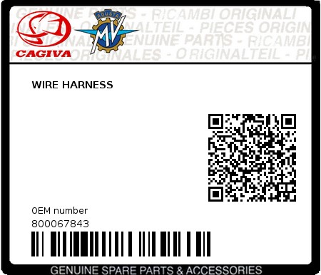 Product image: Cagiva - 800067843 - WIRE HARNESS  0