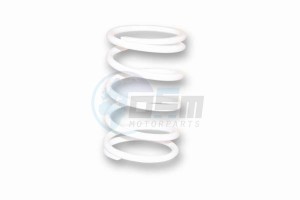 Product image: Malossi - 2914712W0 - Pressure spring for Vario - White Ø ext.68x120mm - Section 5, 2mm Tarage 9, 9kg 
