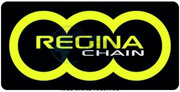 Product image: Regina - 95R00500-ORO - Chain Kit Rieju TangoO 50 Chain Standard Kit 11 53  0