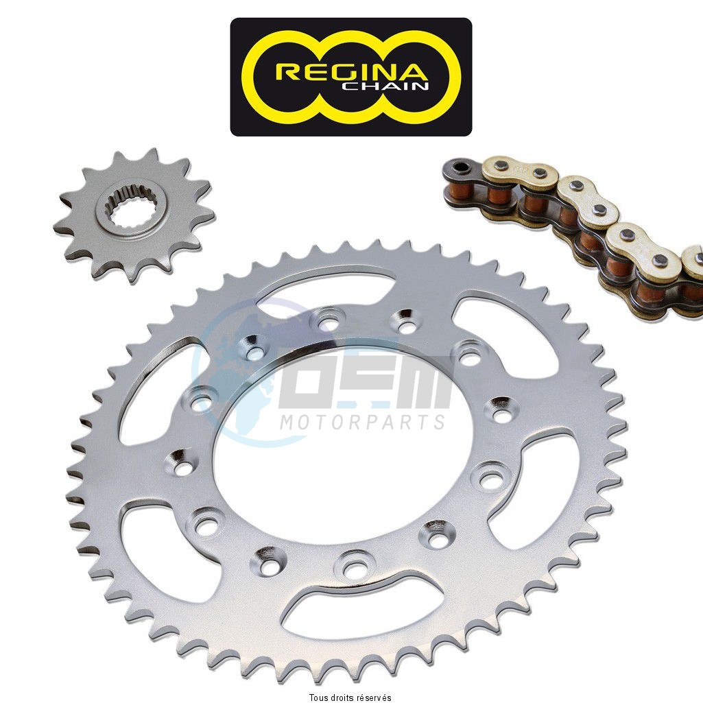 Product image: Regina - 95M00501-ORO - Chain Kit Mh Furia 50 Chain Standard year 96 97 Kit 12 52  0