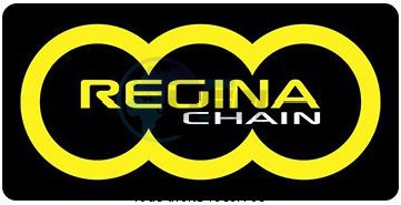 Product image: Regina - 428-EB-120 - Chain 126 Eb ORO 120 Links Chain 428 Standard Gold    0