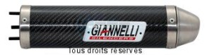 Product image: Giannelli - 34646HF - Silencer  RX-SX 50 '06 (Mot. ) EU Approved Silencer  Carbon 
