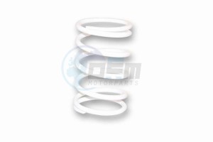 Product image: Malossi - 2914121W0 - Pressure spring for Vario - White Ø ext.85, 1x205mm - Section 6, 5mm Tarage 7, 4kg 