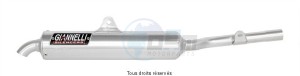 Product image: Giannelli - 54921 - Silencer TDR 125 98/01  CEE E13  Silencer  Alu with Tube soudé 