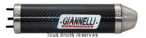 Product image: Giannelli - 34635HF - Silencer HRD SONIC 50 99/03 CEE E13 Silencer  Carbon   