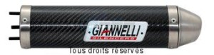 Product image: Giannelli - 33662HF - Silencer  Aprilia RS4 50 2011 Silencer  Carbon CAP.9   