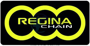 Product image: Regina - 95E005016-ORO - Chain Kit Derbi GPR 50 Chain Standard Kit 11 52  0