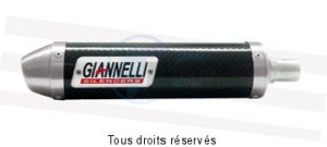 Product image: Giannelli - 14054 - Silencer  Carbon Ø26  End cap Safety    