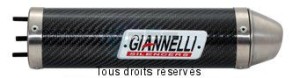 Product image: Giannelli - 34639HF - Silencer  XPS 50 2004  CEE E13 Silencer  Carbon   