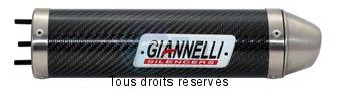 Product image: Giannelli - 54059HF - Silencer  SX 125 '08  Right side Silencer  Carbon NON HOMOL    0