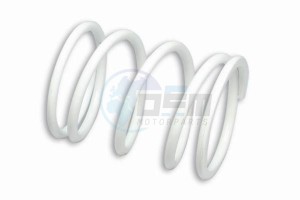 Product image: Malossi - 2915315W0 - Pressure spring for Vario - White Ø ext.73x96mm - Section 6mm Tarage 14, 5kg 