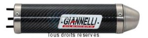 Product image: Giannelli - 34637HF - Silencer  DT 50 R 98/03   X-LIMIT 50 98 /03  CEE E13 Silencer  Carbon 