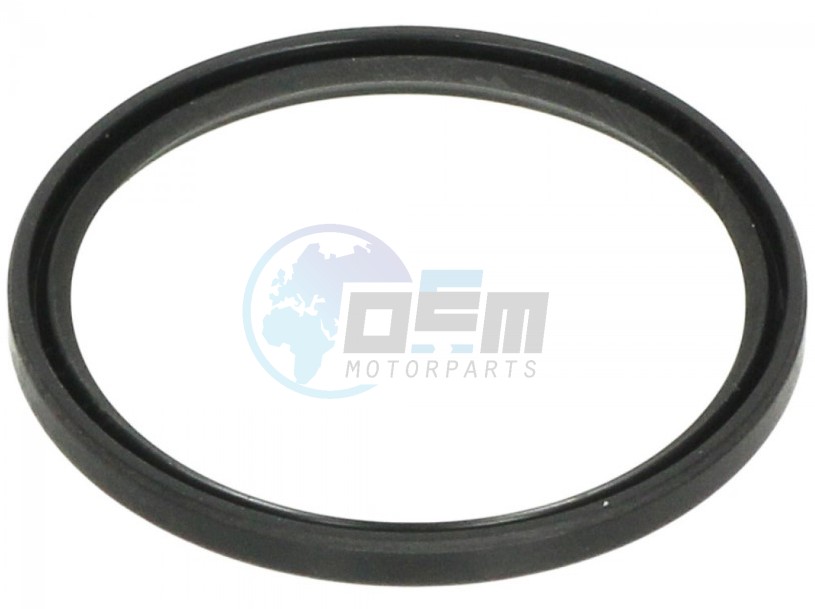 Product image: Gilera - 289950 - Gasket ring  0