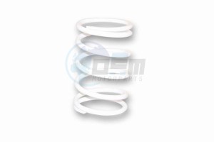 Product image: Malossi - 2916113W0 - Pressure spring for Vario - White Ø ext.67, 9x120mm - Section 5, 4mm Tarage 8, 8kg 