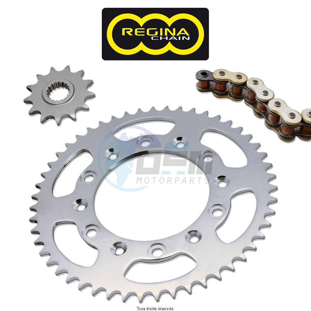 Product image: Regina - 95R005091-ORO - Chain Kit Rieju/Msa 50 Rs1/Rse Evolution Chain Standard year 98 02 Kit 12 44  0