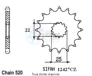 Product image: Sifam - 12427CZ13 - Sprocket Tm 250 Enduro -01      13 teeth   TYPE : 520 