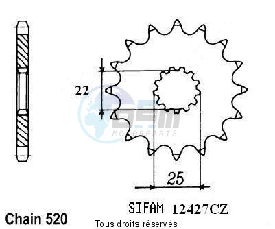 Product image: Sifam - 12427CZ13 - Sprocket Tm 250 Enduro -01      13 teeth   TYPE : 520  0