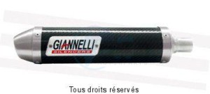 Product image: Giannelli - 14057 - Silencer  Carbon Ø 32  End cap Safety    
