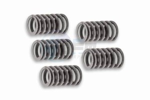 Product image: Malossi - 2912018 - Clutch springs - Reinforced 