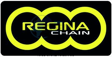 Product image: Regina - 95HU03900-ORN - Chain Kit Husaberg FE 390 Enduro Super O-ring Kit 13 52  0
