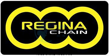 Product image: Regina - 428-EB-116 - Chain 126 Eb ORO 116 Links Chain 428 Standard Gold    0