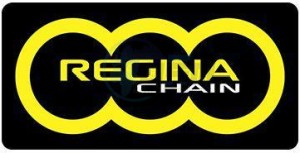 Product image: Regina - 520-RH2-118 - Chaine 135RH2 - HYPER RENF. 