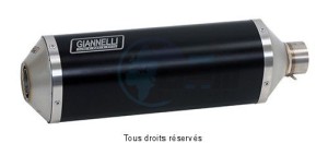 Product image: Giannelli - 73762B6S - Silencer  CBF 1000'10 Hom. SlipOn BLACK LINE 
