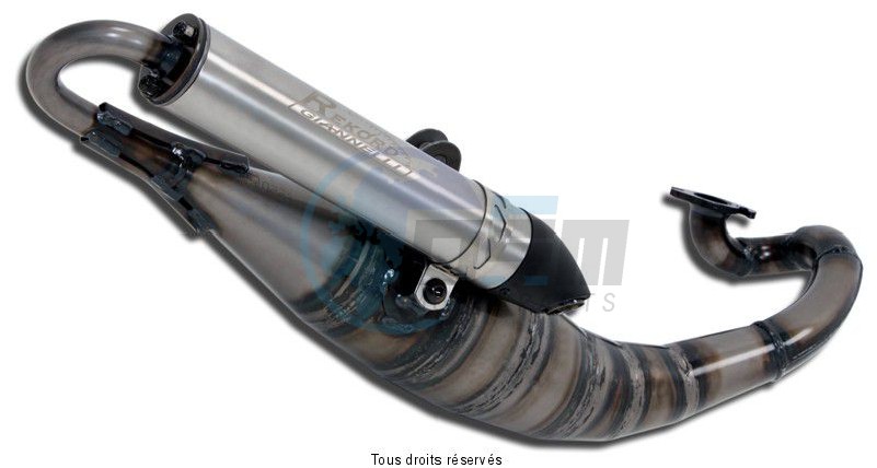 Product image: Giannelli - 31255RK - Exhaust REKORD  F12 R 07/10 POWER UP     0