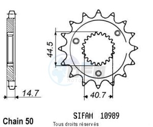 Product image: Sifam - 10989CZ21 - Sprocket Harley Xlh 883/1200 Spo   10989cz   21 teeth   TYPE : 530 