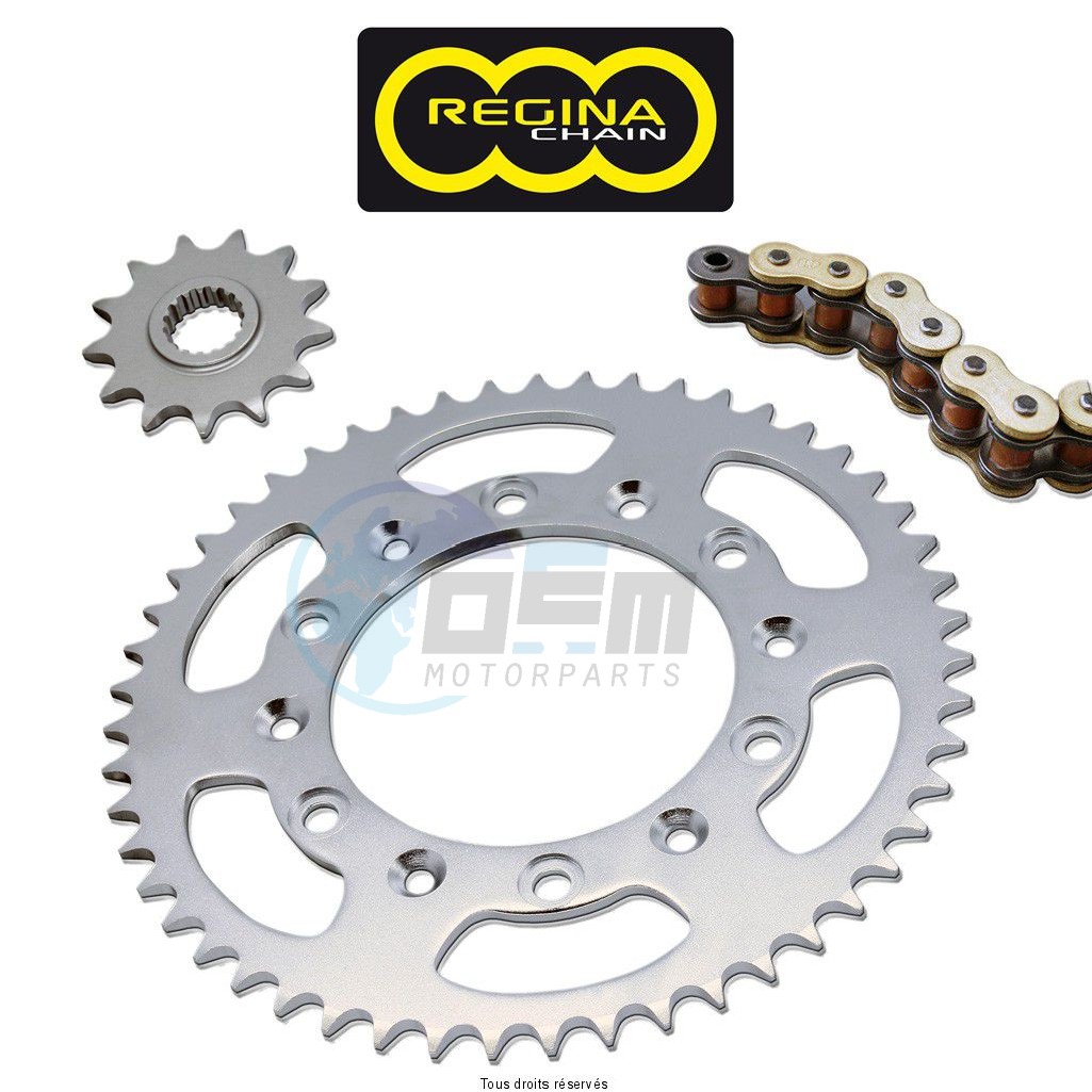 Product image: Regina - 95A10004-ORS - Chain Kit Aprilia Rst 1000 Futura Hyper O-ring year 01 02 Kit 16 43  0