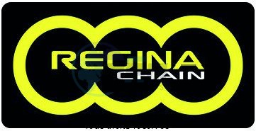 Product image: Regina - 95HU02500-ORN - Chain Kit Husaberg TE 250 Enduro Super O-ring Kit 13 50  0