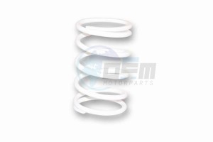 Product image: Malossi - 2914120W0 - Pressure spring for Vario - White Ø ext.67, 2x120mm - Section 5, 2mm Tarage , 3kg 