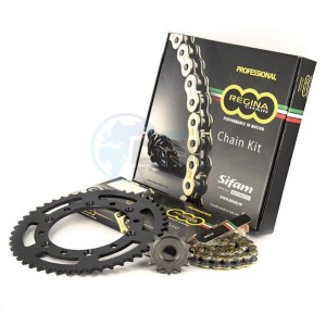 Product image: Regina - 95BN05001-REG525ZRP - Chain kit Benelli Leoncino 500 Special Xring  Kit 14 42 