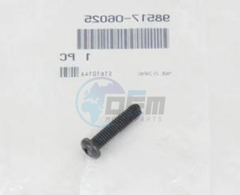 Product image: Yamaha - 985170602500 - SCREW, PAN HEAD   0