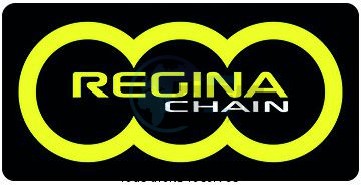 Product image: Regina - 95TM012512-ORN - Chain Kit Tm EN125 Super O-ring Kit 13 51  0