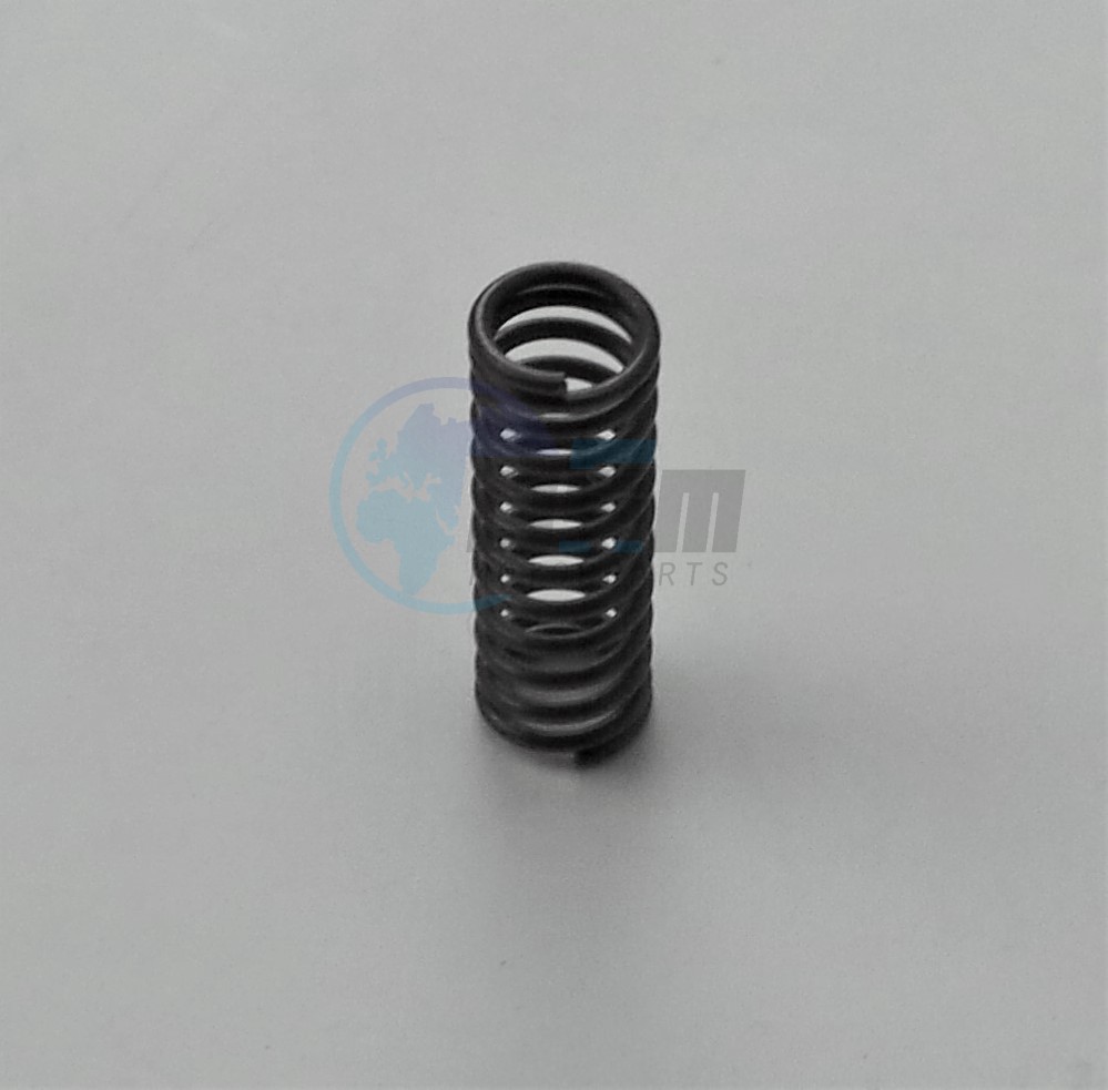 Product image: Cagiva - 800036796 - SPRING  0