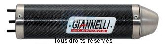 Product image: Giannelli - 33019 - Silencer  RS 50 '95-'99 Silencer  Carbon    0