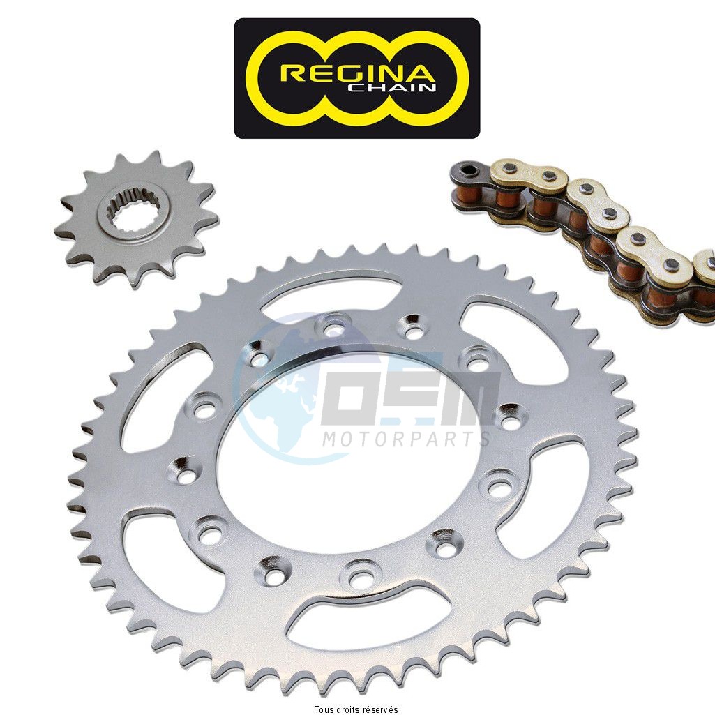 Product image: Regina - 95TM030001-ORN - Chain Kit Tm 300 Cross/Enduro Super O-ring year 96 05 Kit 13 51  0