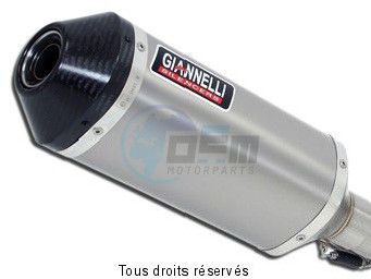 Product image: Giannelli - 73739T6SY - Silencer  CB 1000R '08/10  Hom. Silencer  Titanium + End cap Carbon  0